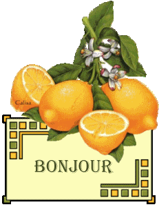Gif animé bonjour